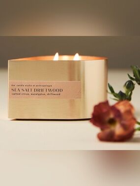 NWT Anthropologie Teardrop Fresh Sea Salt Driftwood Metal Candle